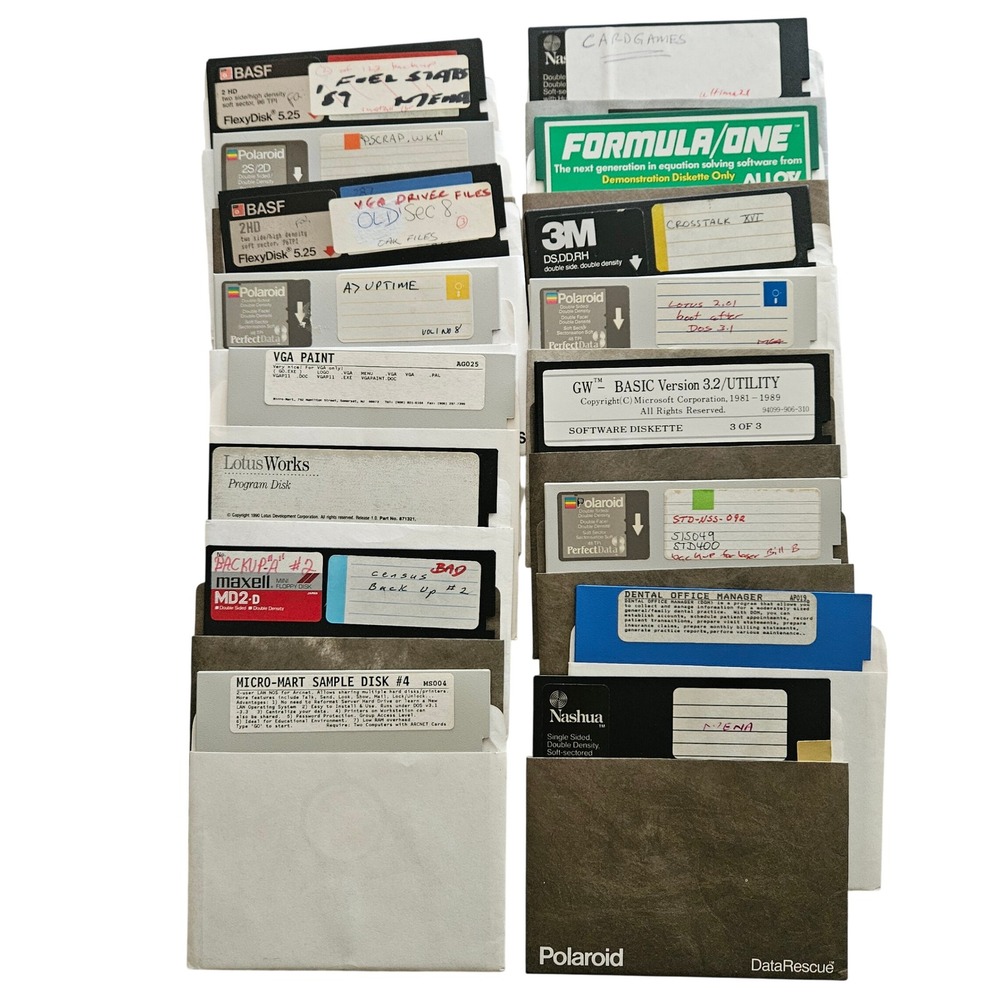 Vintage 5.25 Floppy Disk Lot 18pc GW-BASIC Lotus Works VGA Paint Polaroid BASF